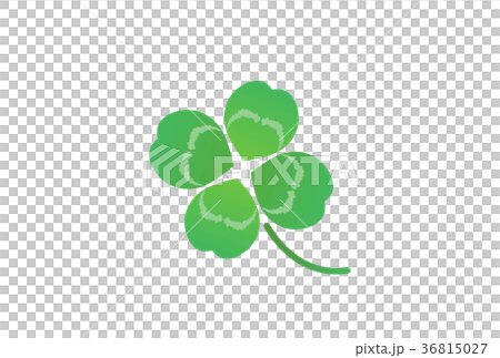四つ葉 四つ葉 36815027