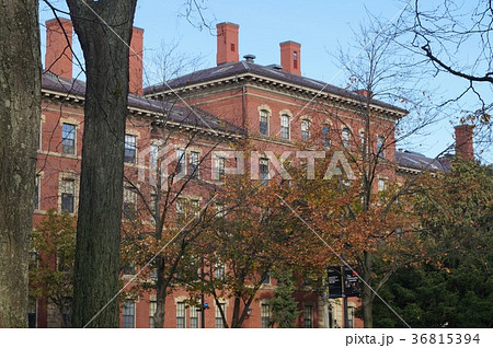 アメリカ ハーバード大学内の建物 アメリカ ハーバード大学内の建物 36815394