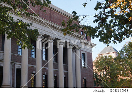 アメリカ ハーバード大学のワイドナー記念図書館 36815543