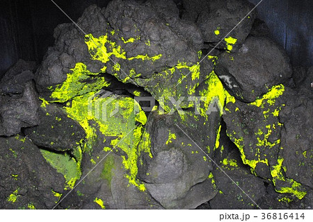 ヒカリゴケの写真素材 [36816414] - PIXTA