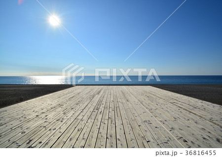 琴ケ浜野外劇場 36816455