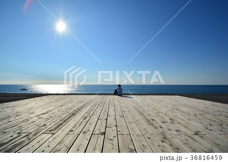 琴ケ浜野外劇場 36816459