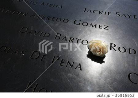 Flower on Memorial fountain 36816952