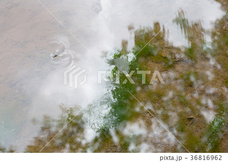 snapshot 36816962