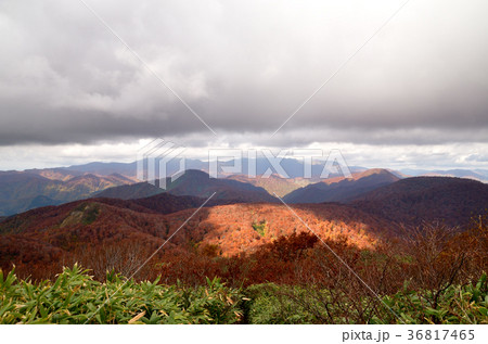 二ツ森山頂から、白神岳と向白神岳に重く垂れ込む雲とブナ林の紅葉 36817465