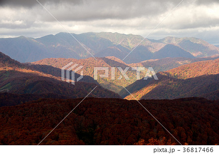 二ツ森山頂から、向白神岳とブナ林の紅葉 36817466
