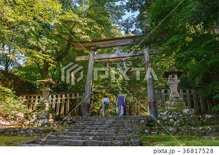 平泉寺白山神社　参道風景 36817528