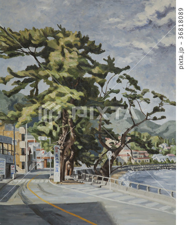 国道135号線/上多賀付近 国道135号線/上多賀付近 36818089