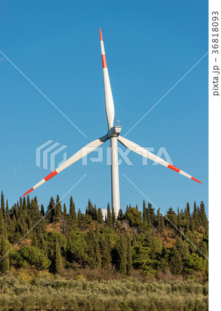 Wind Turbine with Blue Sky and Trees 36818093