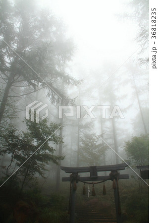 霧の中の高原 横谷峡谷 霧の中の高原 横谷峡谷 36818235