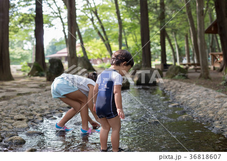 2 years old & 8 years old 2 years old & 8 years old 36818607