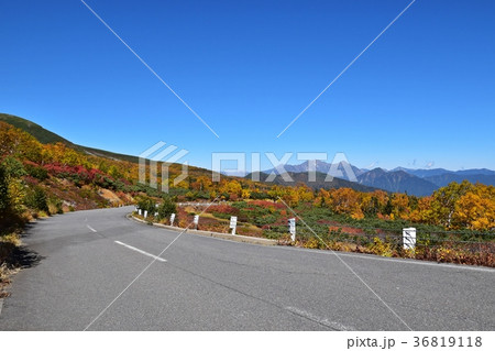紅葉のピークを迎えた乗鞍エコーライン 36819118