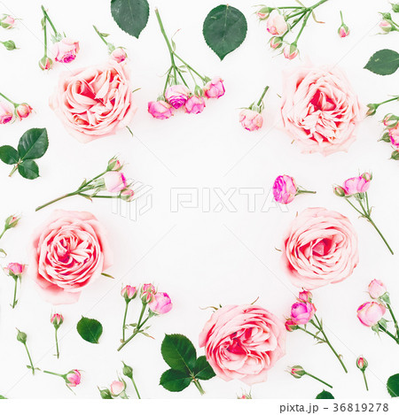Floral round frame made of roses isolated on white Floral round frame made of roses isolated on white 36819278