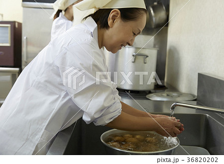 給食の調理員 給食の調理員 36820202