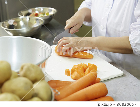 給食の調理員 36820657