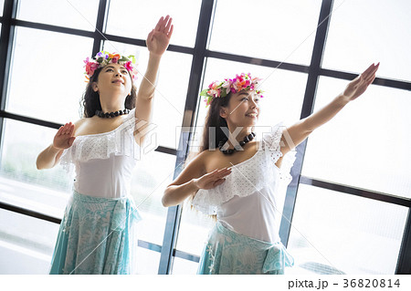 フラダンサー　ダンス 36820814