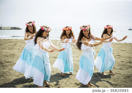 フラダンサー　海岸でダンス 36820983