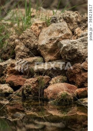 Stones are reflected in the water Stones are reflected in the water 36821617