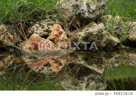 Stones are reflected in the water Stones are reflected in the water 36821618