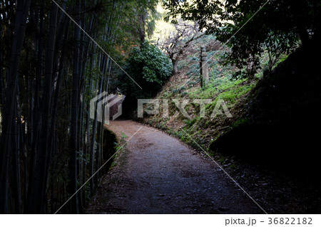 高野山登山道　町石 36822182