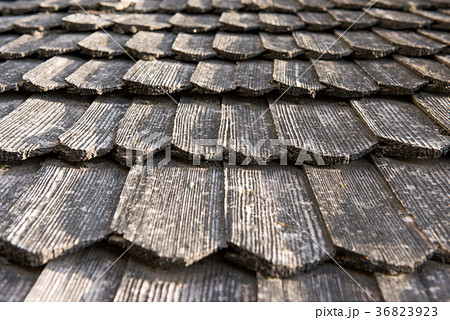 Old wooden roof with dry leaves on it. 36823923