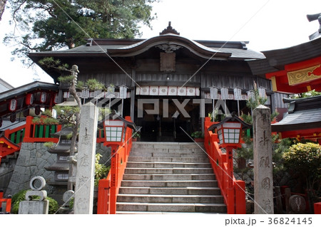 津和野の太鼓谷稲荷神社 津和野の太鼓谷稲荷神社 36824145
