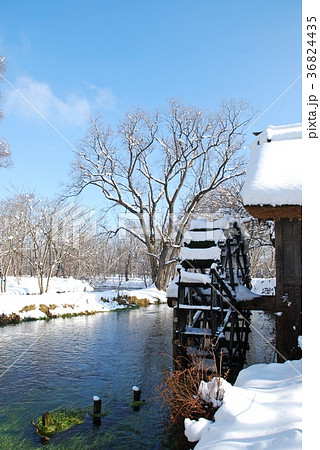 大王わさび農場の水車小屋の雪景色 36824435