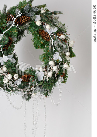 Christmas wreath of spruce with cones Christmas wreath of spruce with cones 36824660