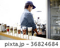 カフェスタッフ男 36824684