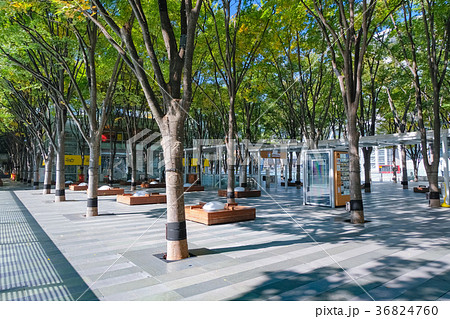 けやきひろば さいたま新都心 36824760