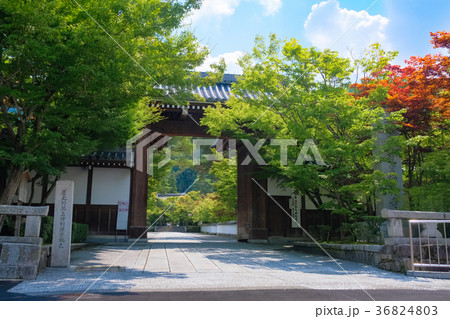 京都 永観堂（禅林寺） 総門 36824803