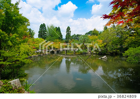 京都 永観堂（禅林寺） 放生池 36824809