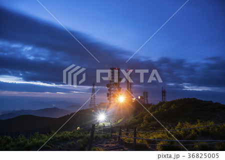 自然 木 空 36825005