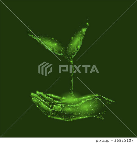 Low poly sprout plant in hand. Save ecology  36825107