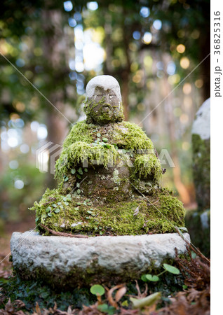 静岡県宝蔵院の地蔵 36825316