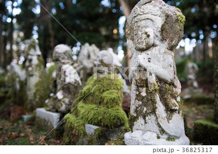 静岡県宝蔵院の地蔵 36825317