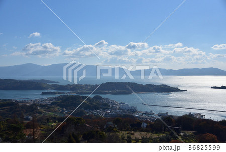 牛窓のオリーブ園 36825599