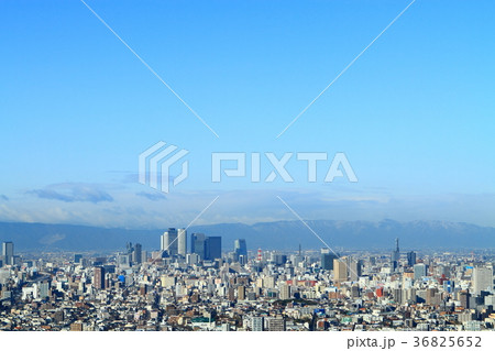 東山スカイタワーから見た名古屋市　都市風景 36825652