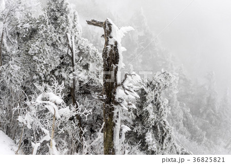 冬 慶南 韓国 36825821