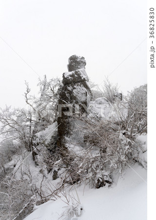 木 山 智異山 36825830