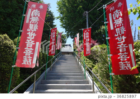 善谷寺 善谷寺 36825897