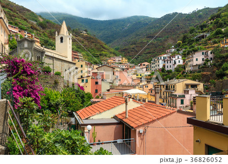 Summer Riomaggiore, Cinque Terre Summer Riomaggiore, Cinque Terre 36826052