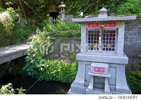 定泉寺 定泉寺 36826685