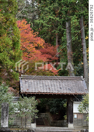 寺院の紅葉 寺院の紅葉 36826792
