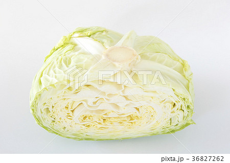 半分のキャベツ 36827262