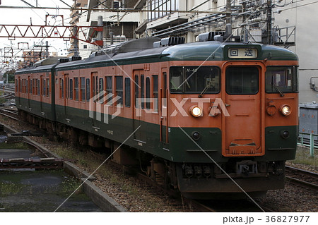 新潟駅に停車中の信越本線115系（回送列車） 36827977