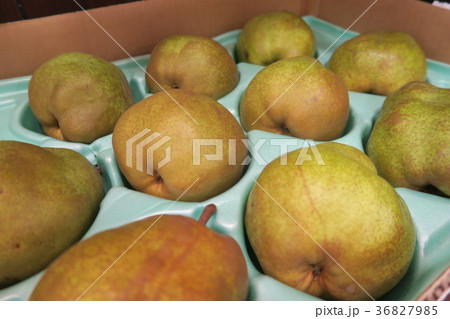 ラ・フランス 36827985