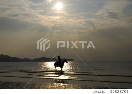 空 海 波 36828701