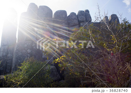 山 屋外 室外 36828740