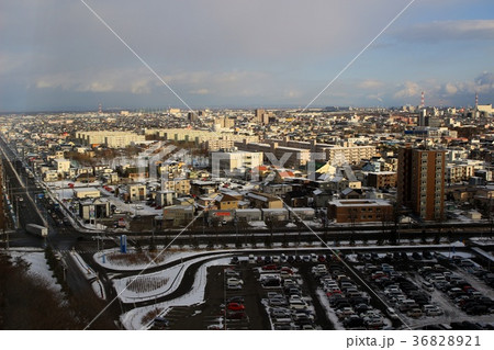 緑ヶ丘公園展望台から見る苫小牧市街地 36828921